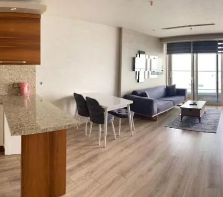 公寓 Kaplan Suites 353 伊斯坦布尔